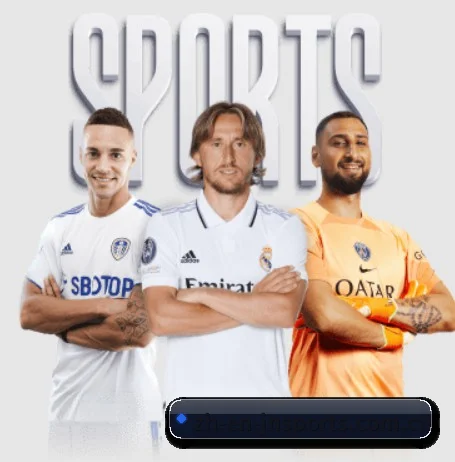 市场拓展